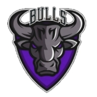 Fatality Bulls team badge