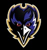 Shadow Ravens team badge
